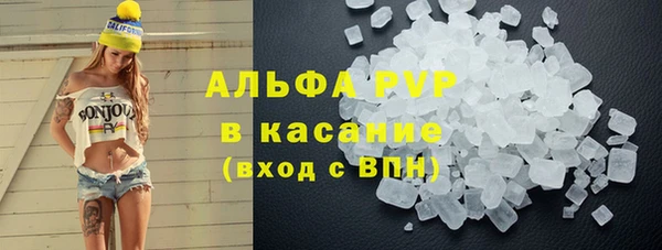 гашик Аркадак